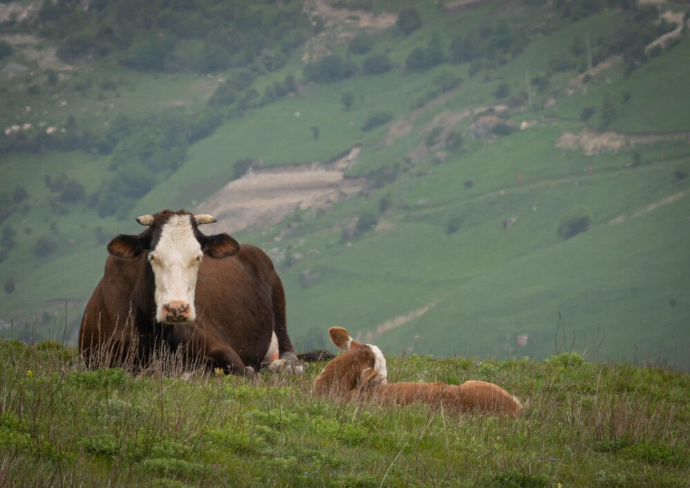 Фотография автора Оксана Белозерская