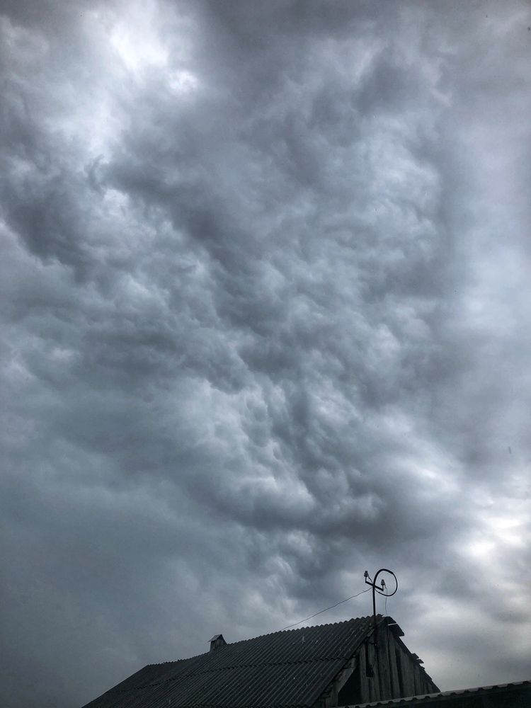 Фотография автора Светлана Терехова