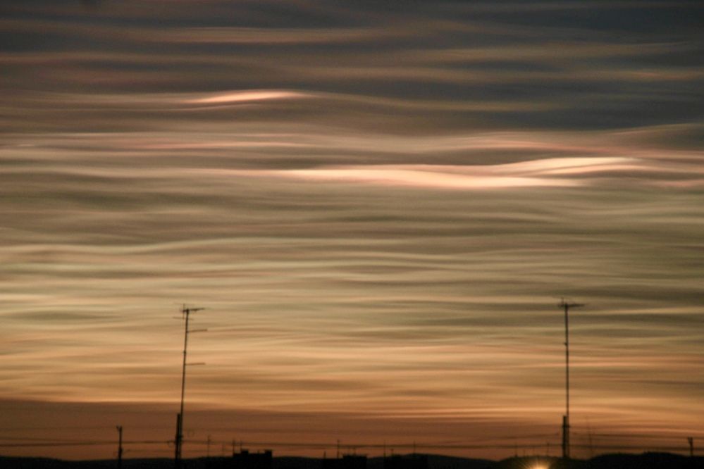 Фотография автора Светлана Терехова