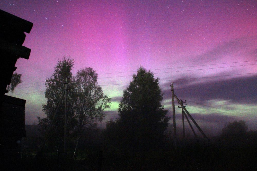 Фотография автора Светлана Терехова