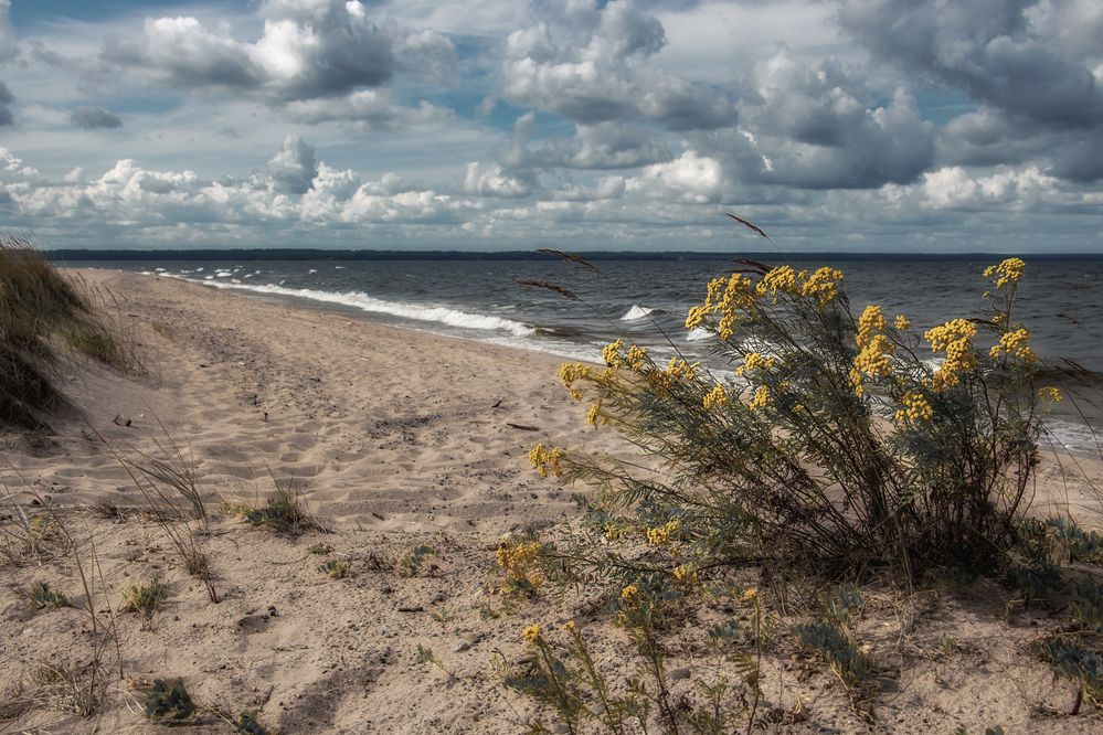 Фотография автора Обидина Мария