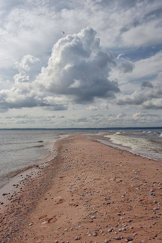 Фотография автора Обидина Мария