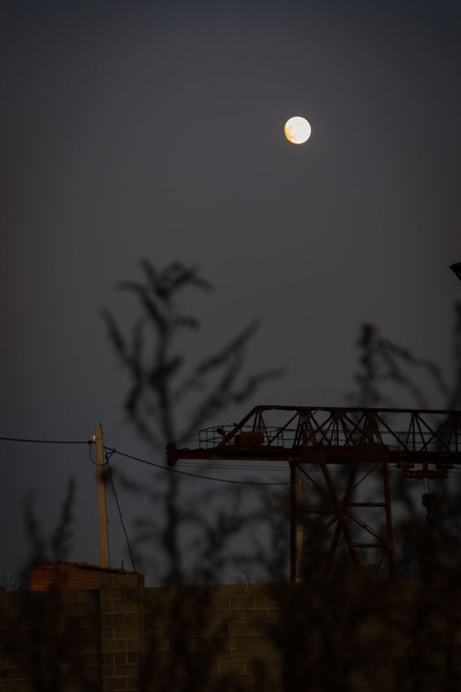 Фотография автора Оксана Белозерская