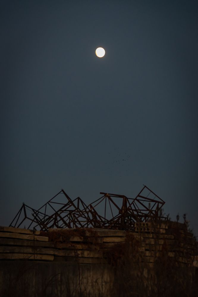 Фотография автора Оксана Белозерская