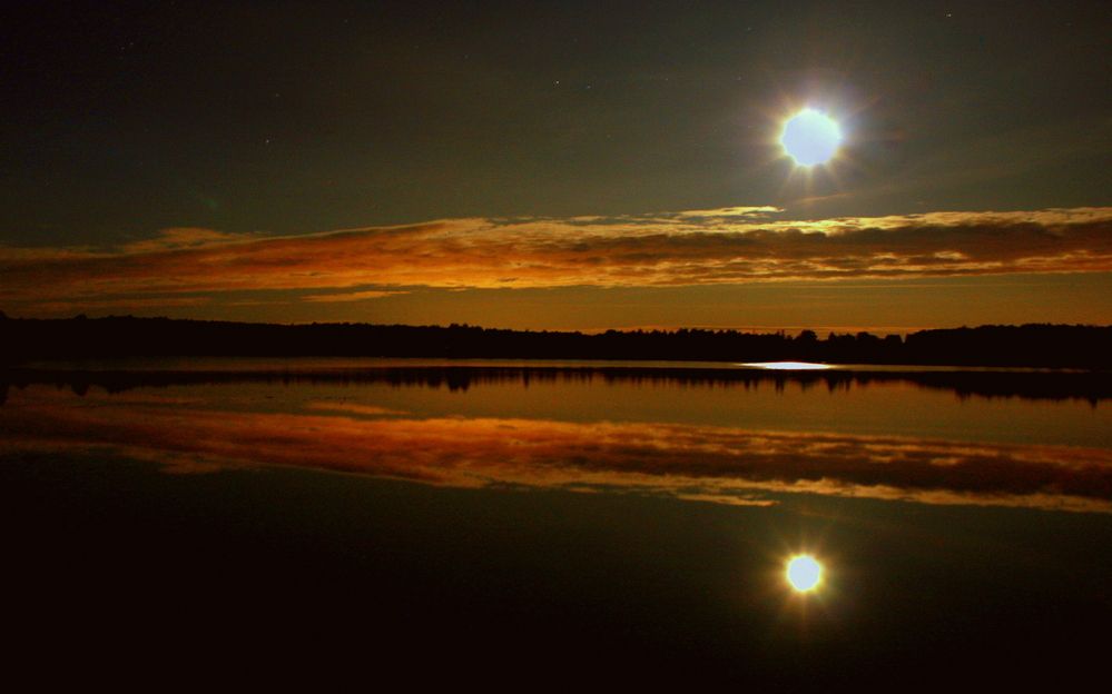 Фотография автора Nelya  Lysenko