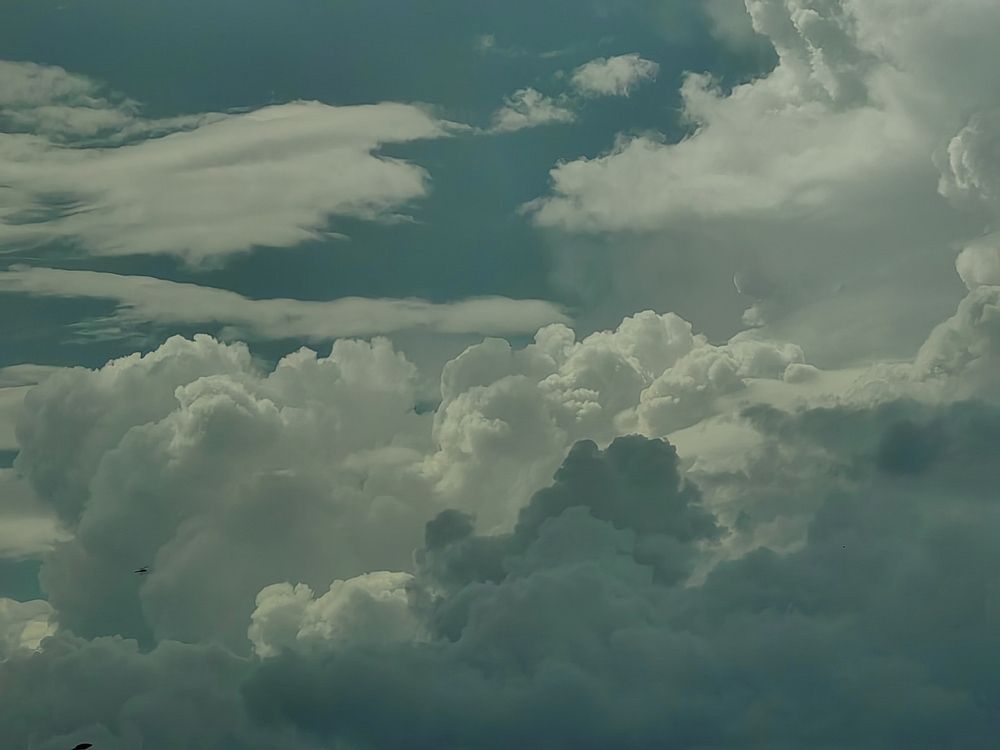 Photograph by Чкареули Светлана