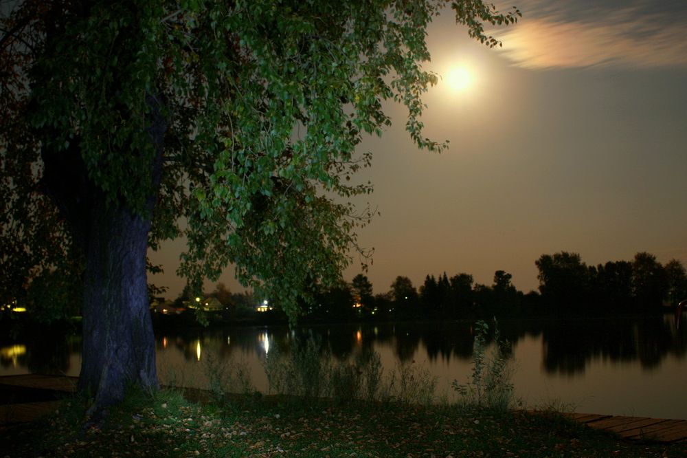 Фотография автора Nelya  Lysenko