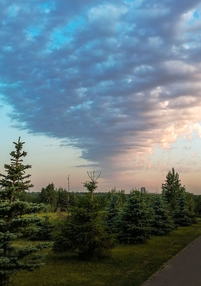 Photograph by Ксения Мельникова