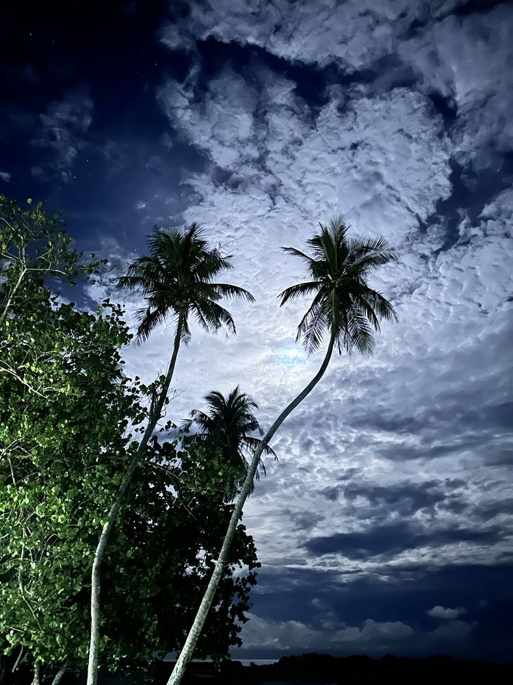 Photograph by Меруерт Айманова