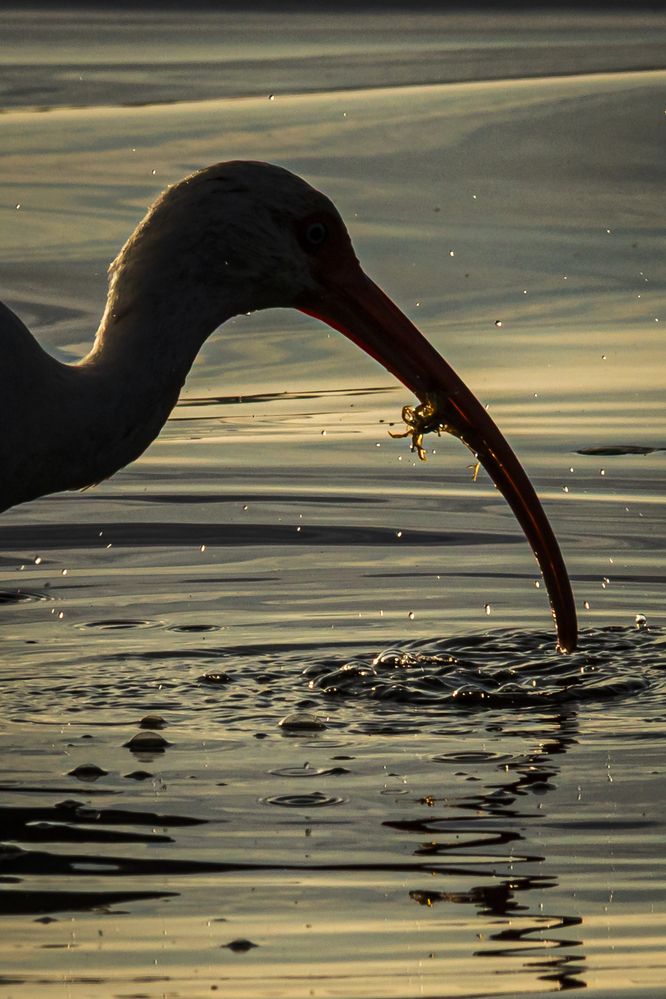 Photograph by Jorge Ivan Vasquez