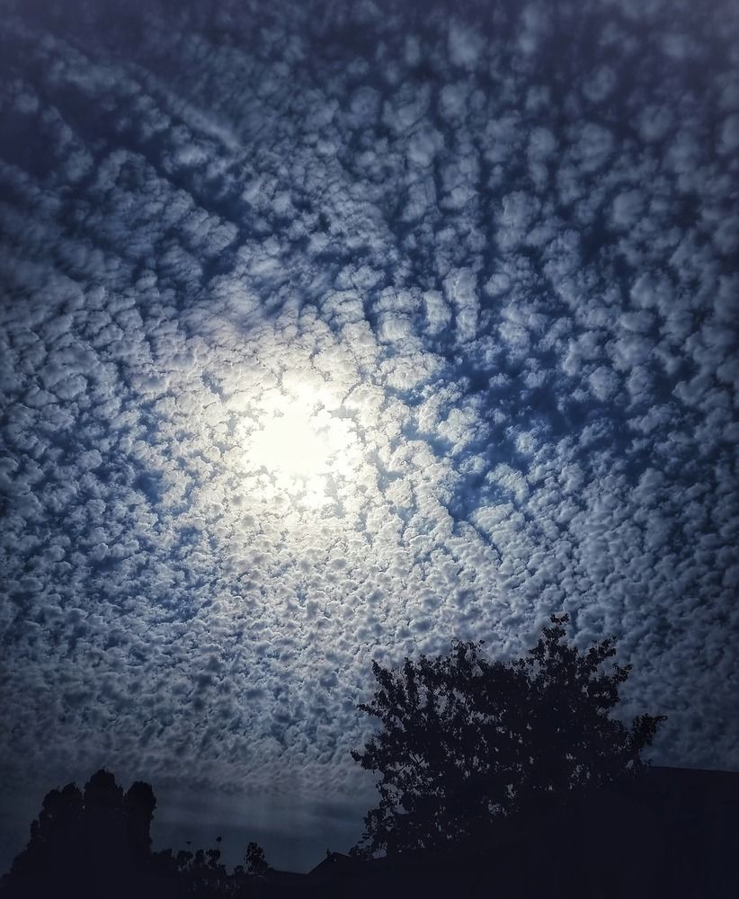 Photograph by Polina Svirida