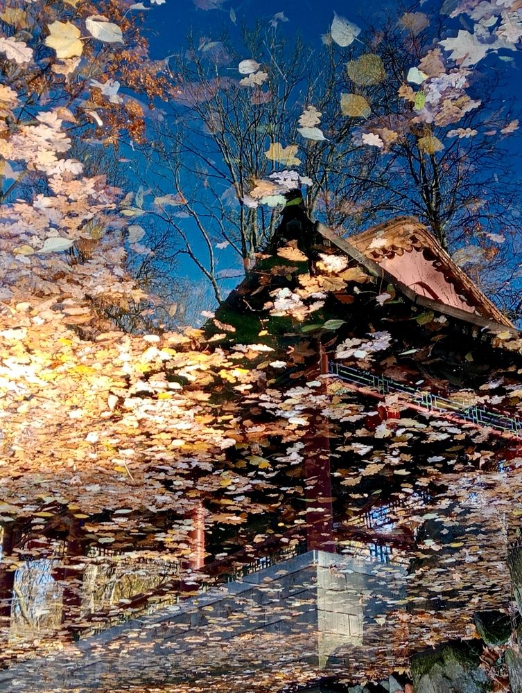 Фотография автора Евгений