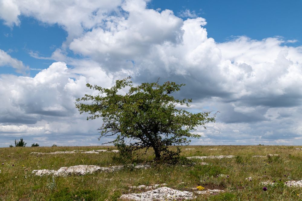 Photograph by Екатерина Крючкова