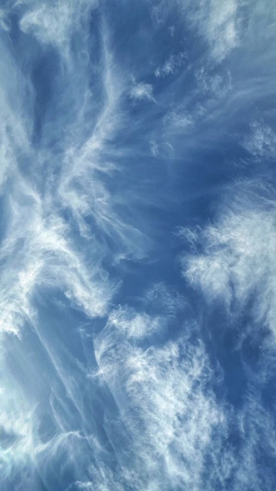 Photograph by Polina Svirida