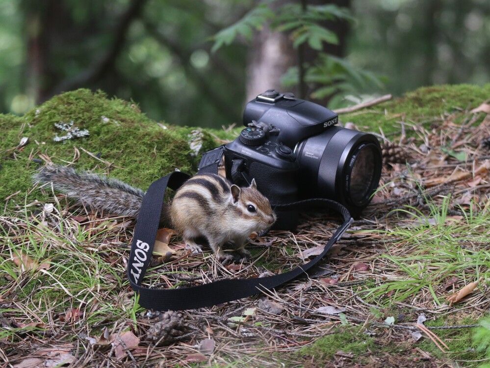 Photograph by Мария Глухова