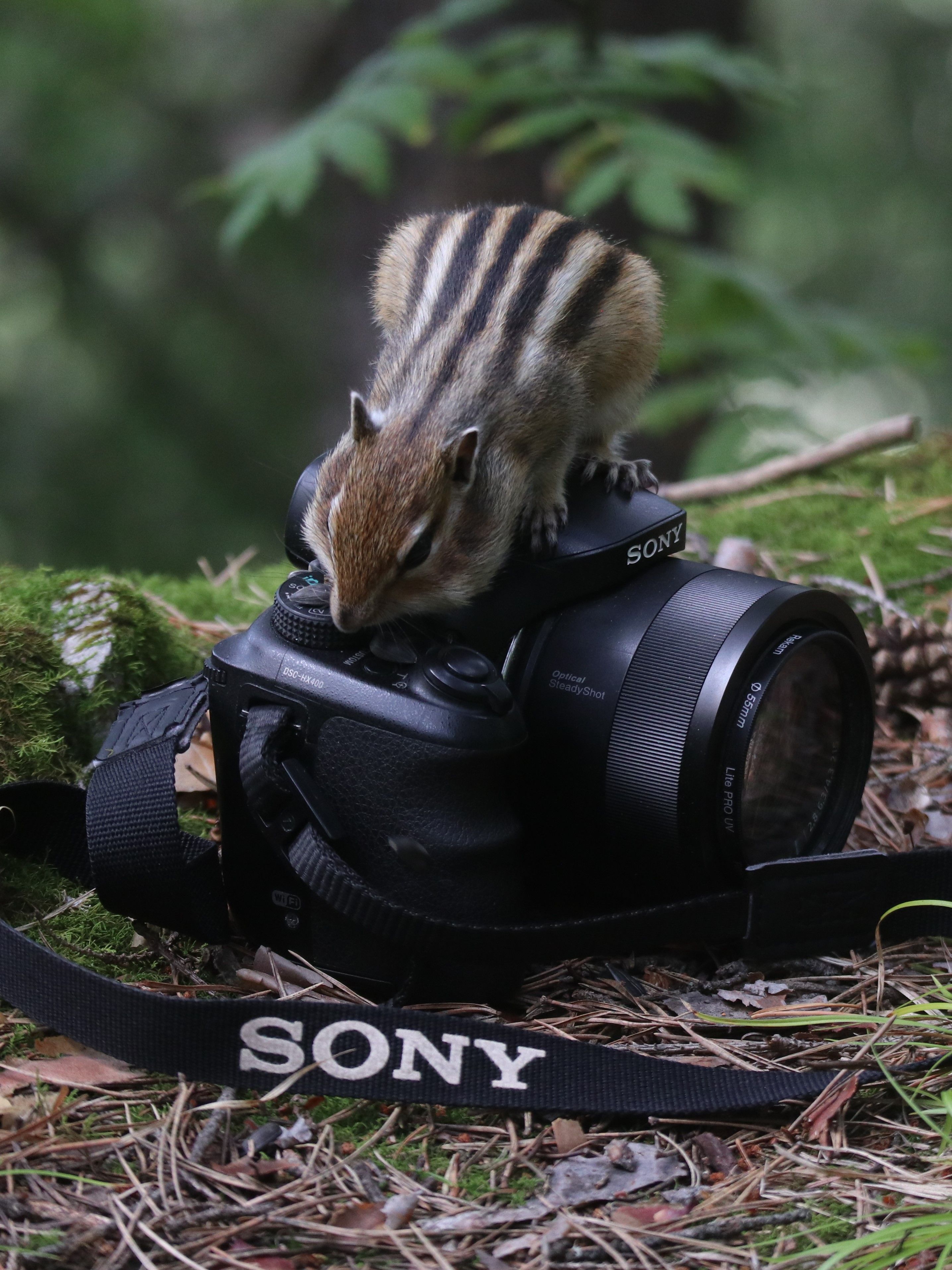 Photograph by Мария Глухова