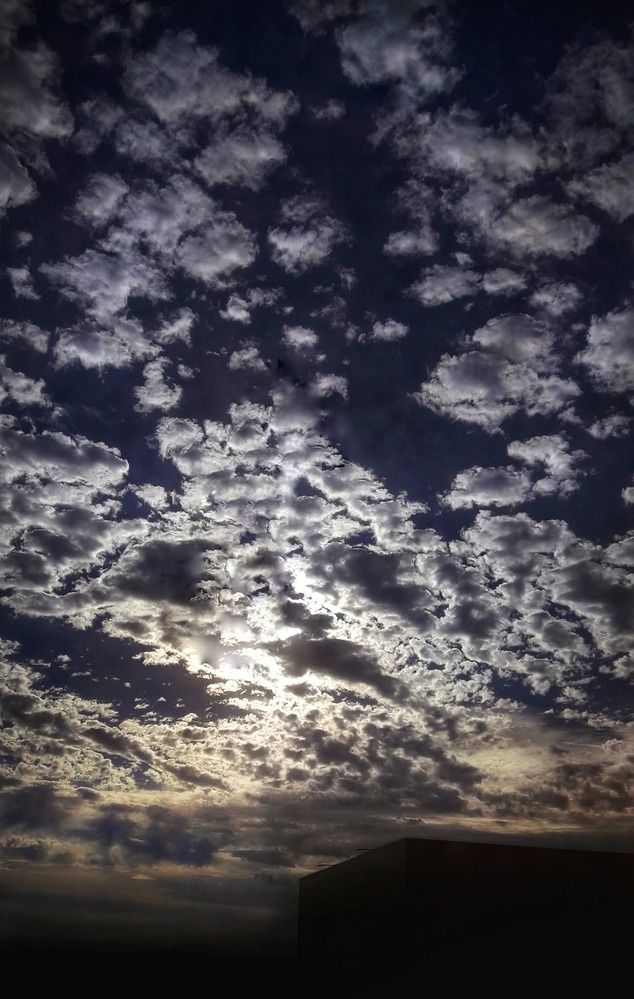 Photograph by Polina Svirida