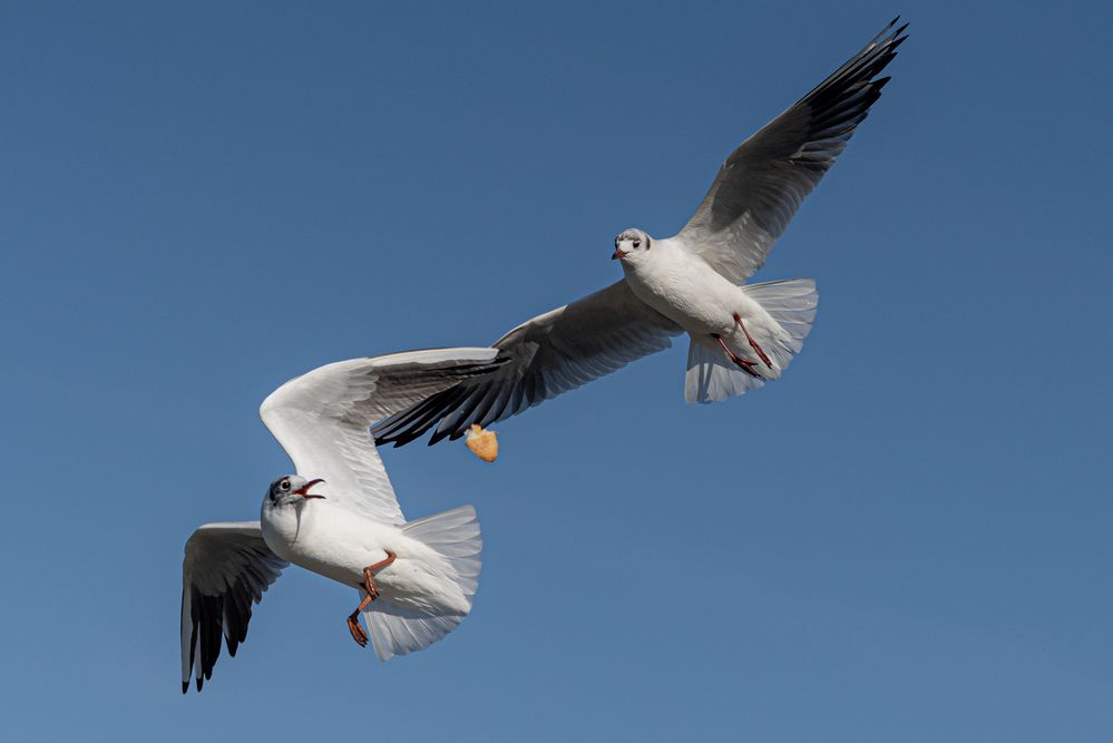 Photograph by Nikolay Isaakov