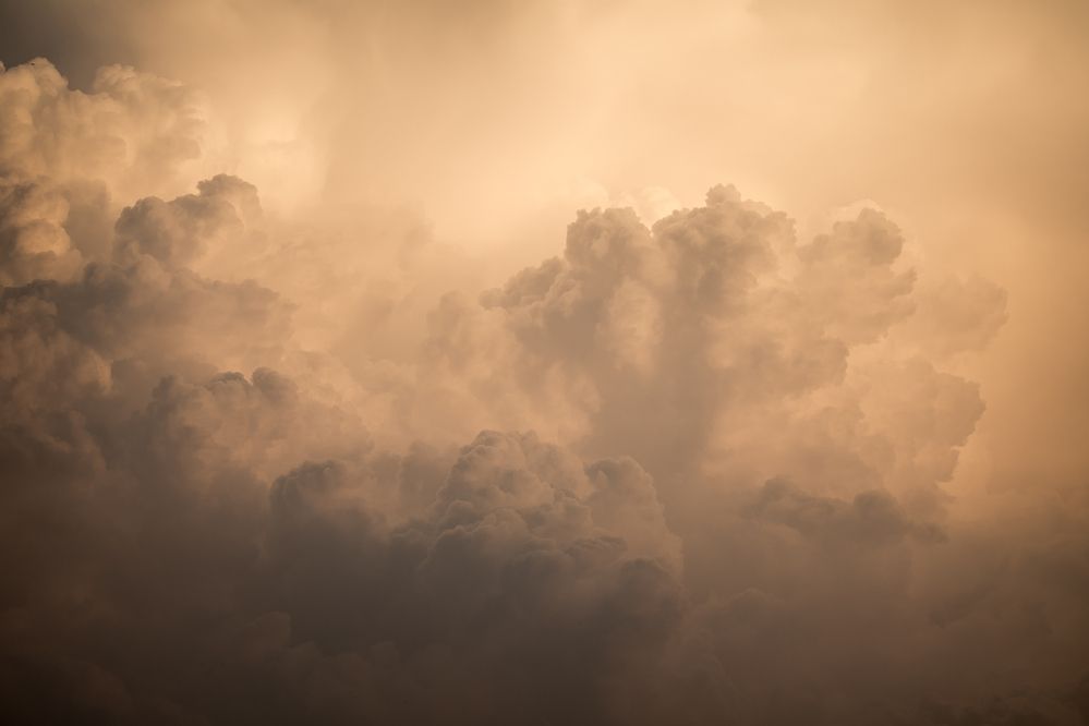 Photograph by Соварцева Ксения