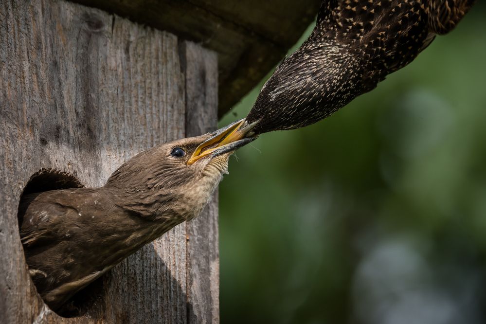 Photograph by Соварцева Ксения