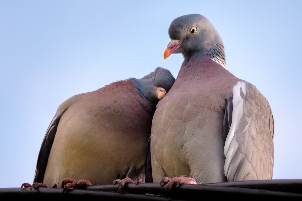 Photograph by Соварцева Ксения