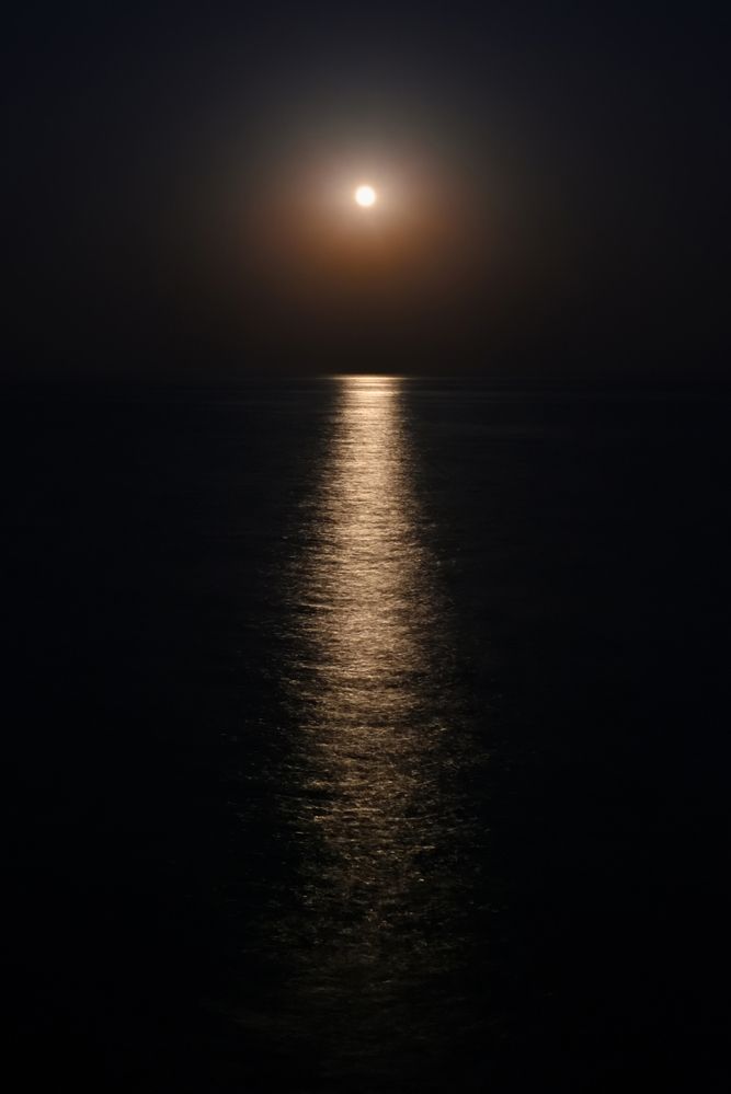 Photograph by Vladimir Shish