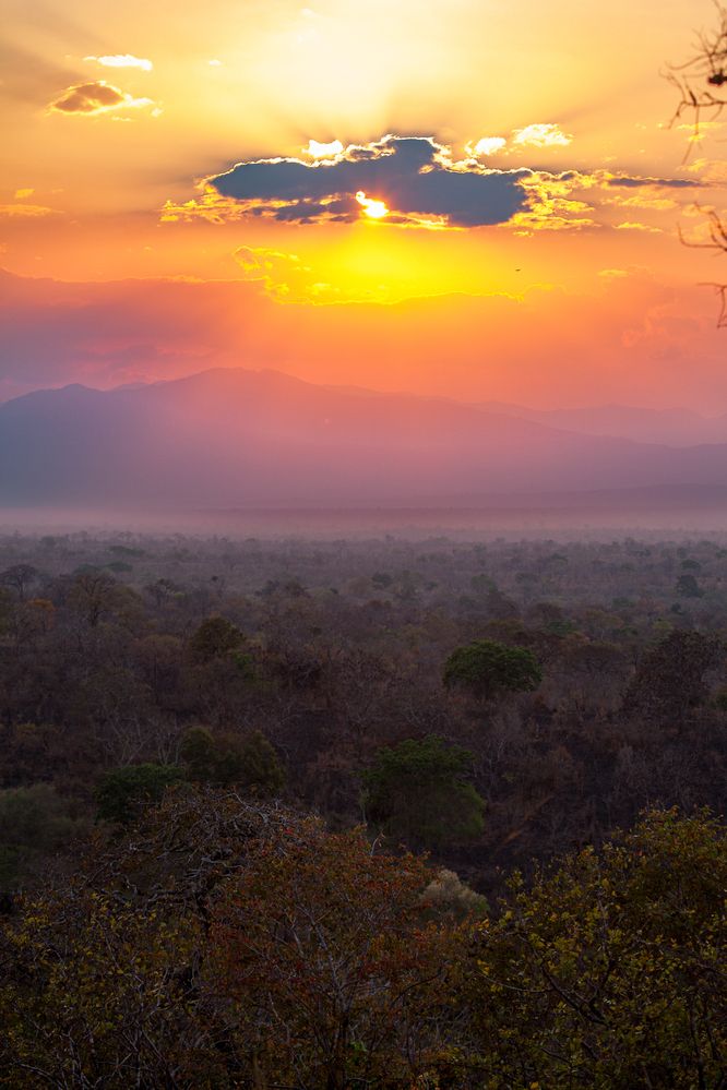 Photograph by Георгий