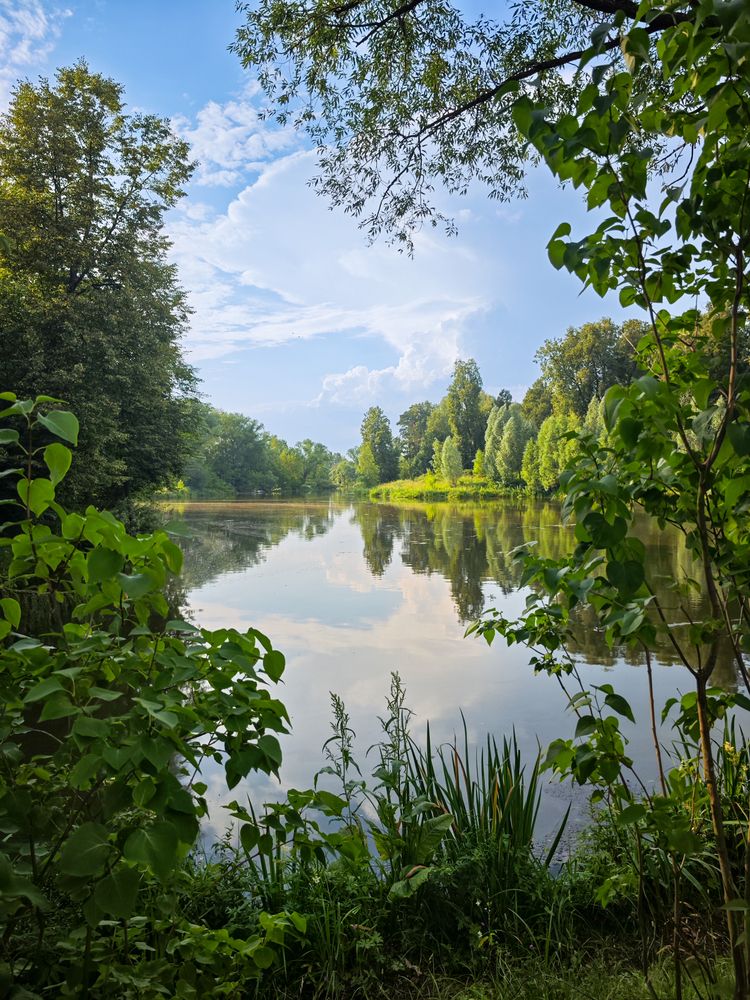 Фотография автора Alexandr Myasnikov