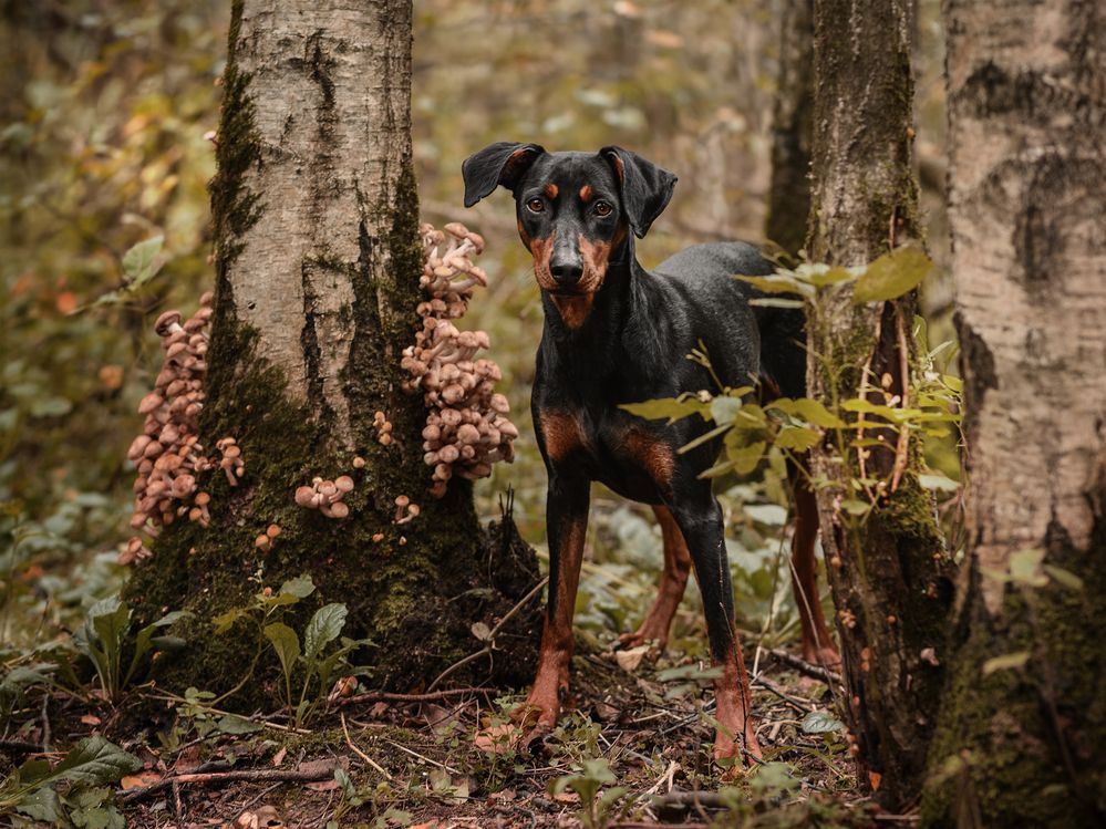 Фотография автора Васильева Светлана