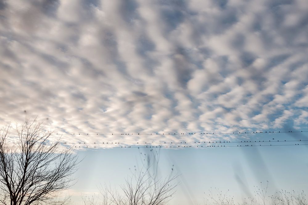 Photograph by Ольга Маковеева