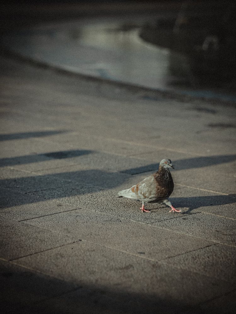 Photograph by Ольга Гапонова