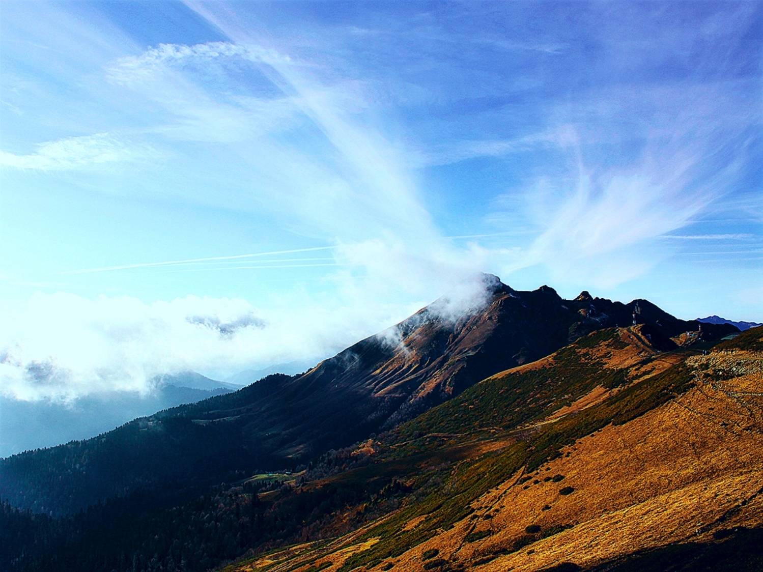 Photo #12531844