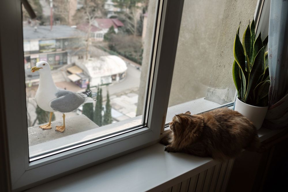 Photograph by Ольга Маковеева