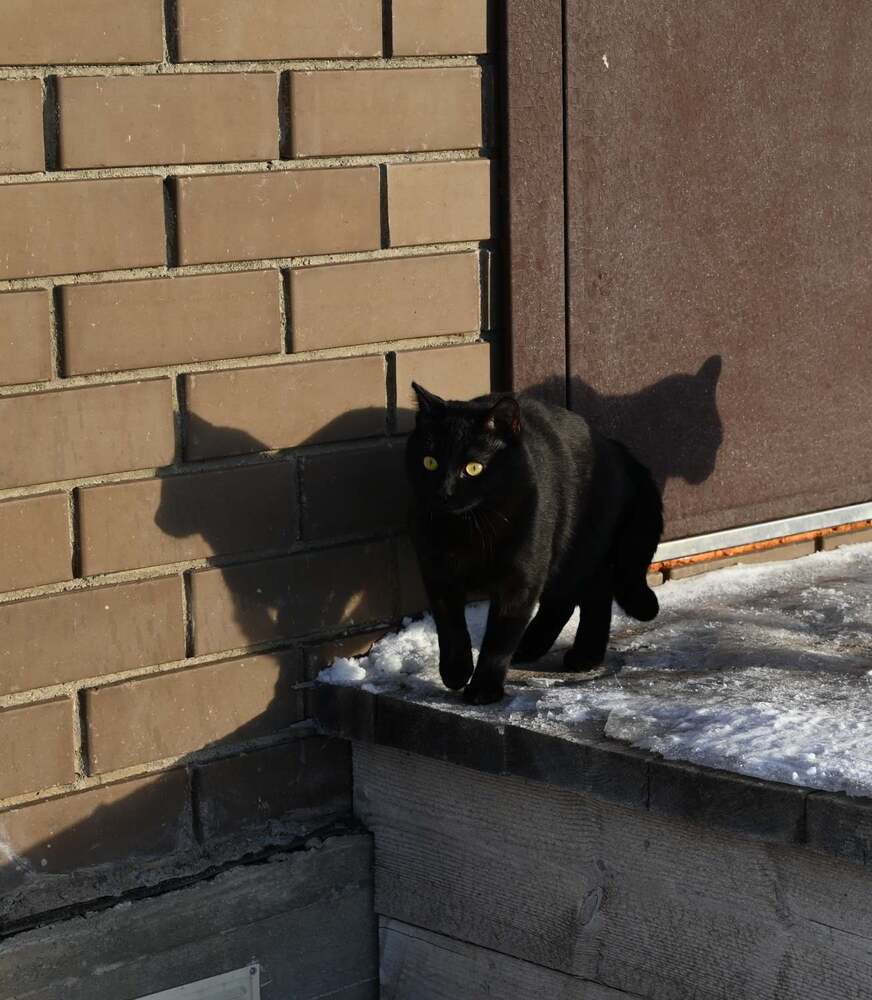 Photograph by Ксения