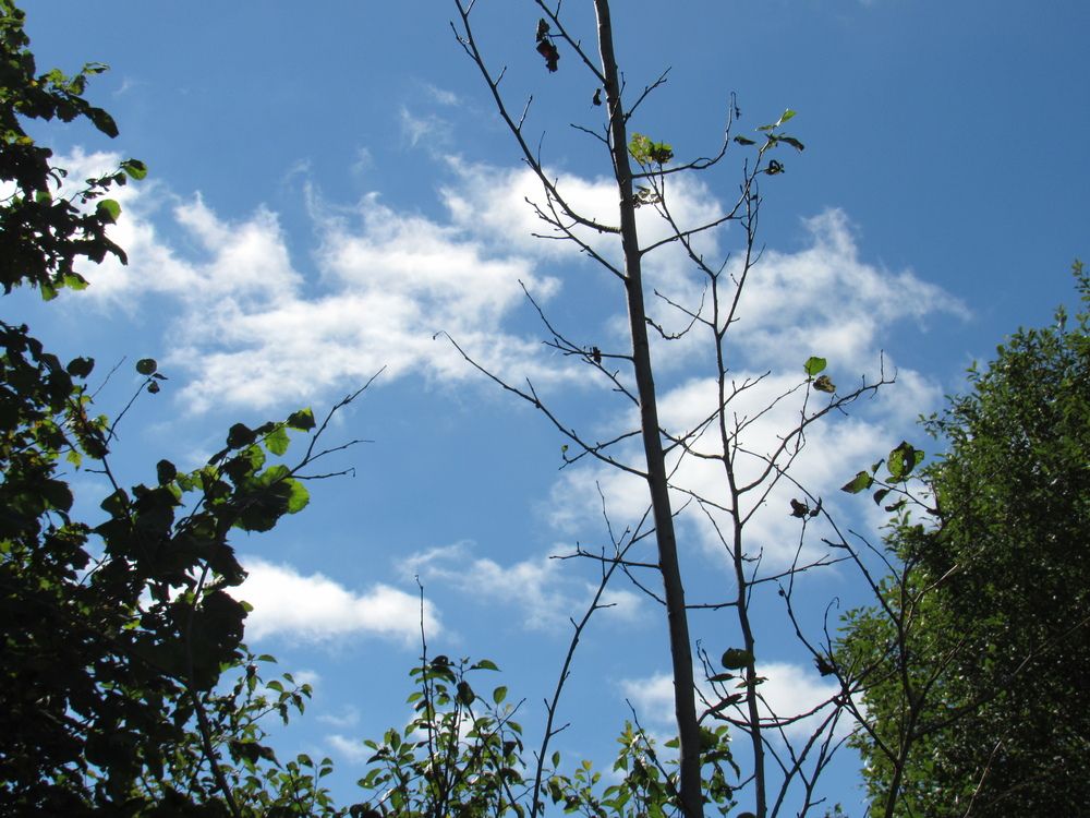 Photograph by Евгений Щипин