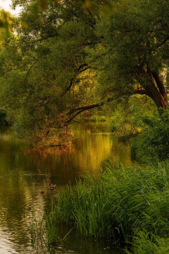 Photograph by Павел Косухин