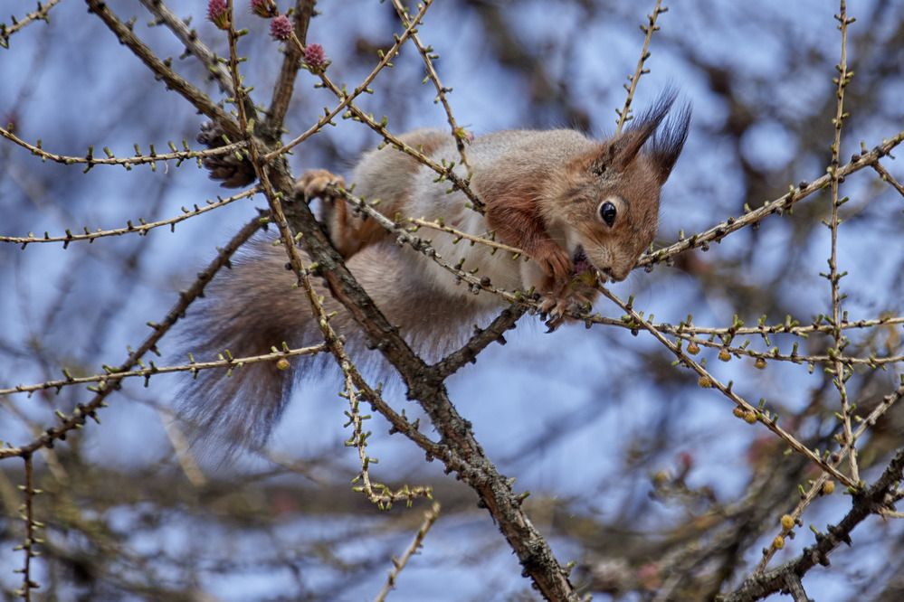 Photograph by Татьяна Полянская