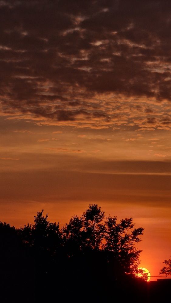 Фотография автора Ольга Быстрова