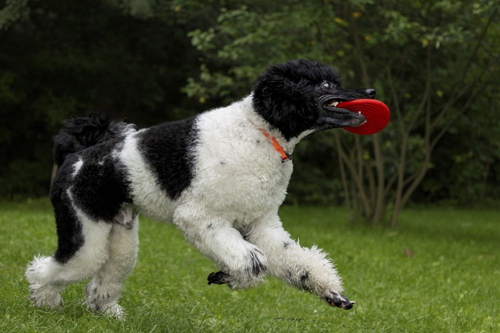 Photograph by Галина Павлова