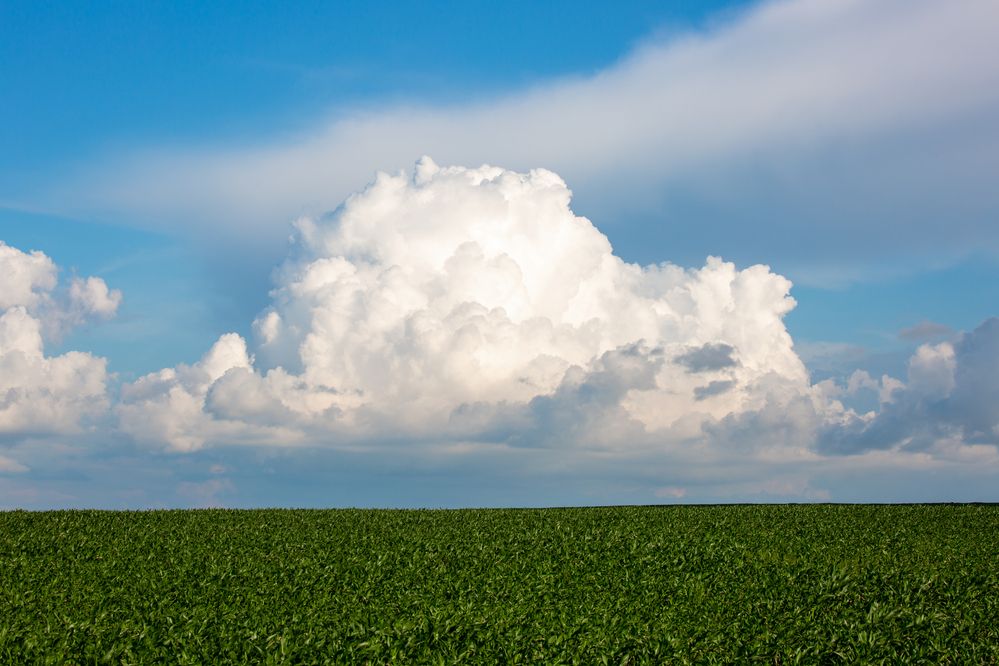 Photograph by Диана Бородзе