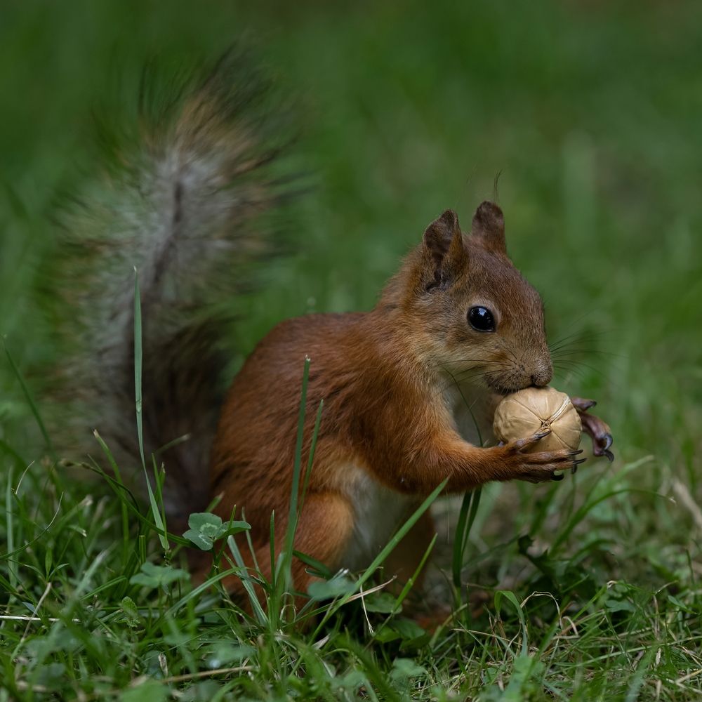 Photograph by Дмитрий Емельянов