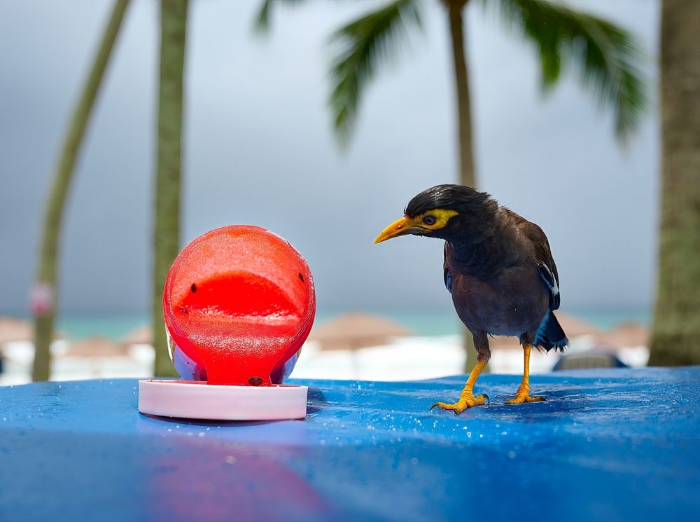 Photograph by Дмитрий Емельянов