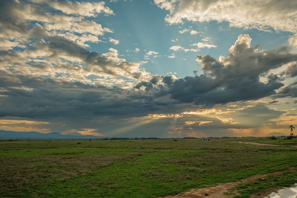 Фотография автора Наталья Липовская
