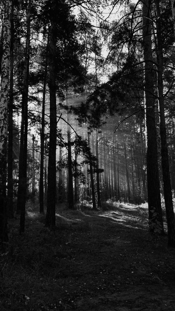 Photograph by Анастасия Подкорытова