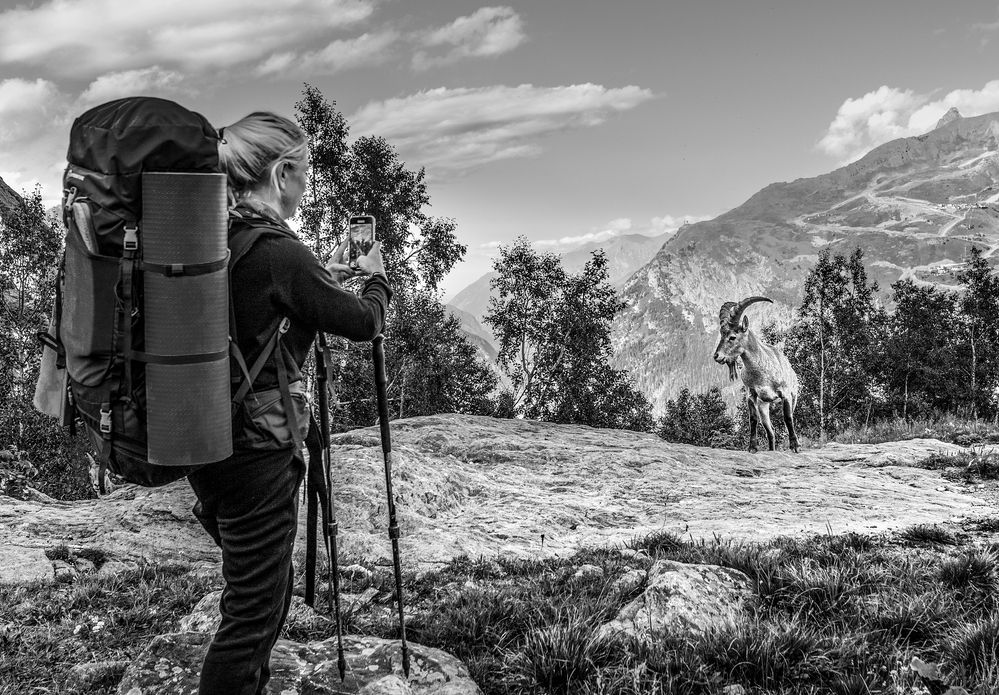 Photograph by Валерий Одинцов