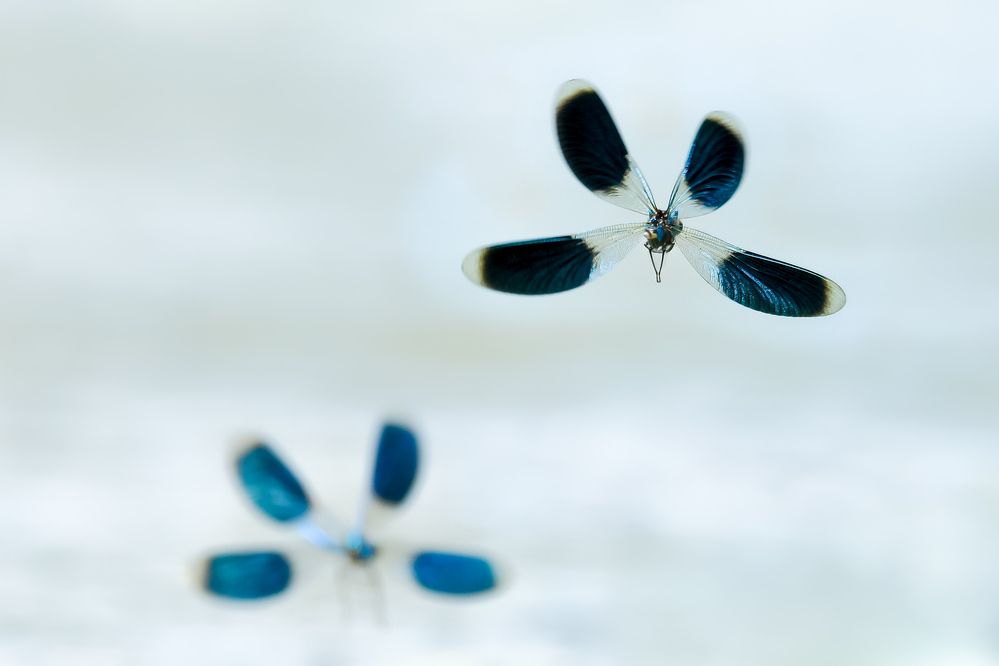 Photograph by Соварцева Ксения