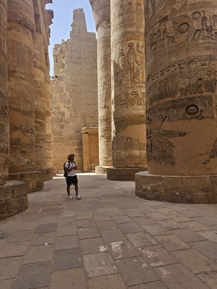 Фотография автора Adel elqamhawi Mohamed