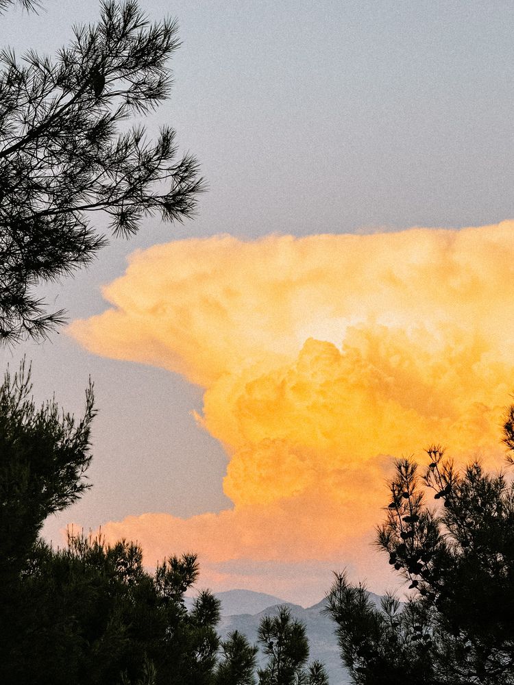 Photograph by Uliana Volegova