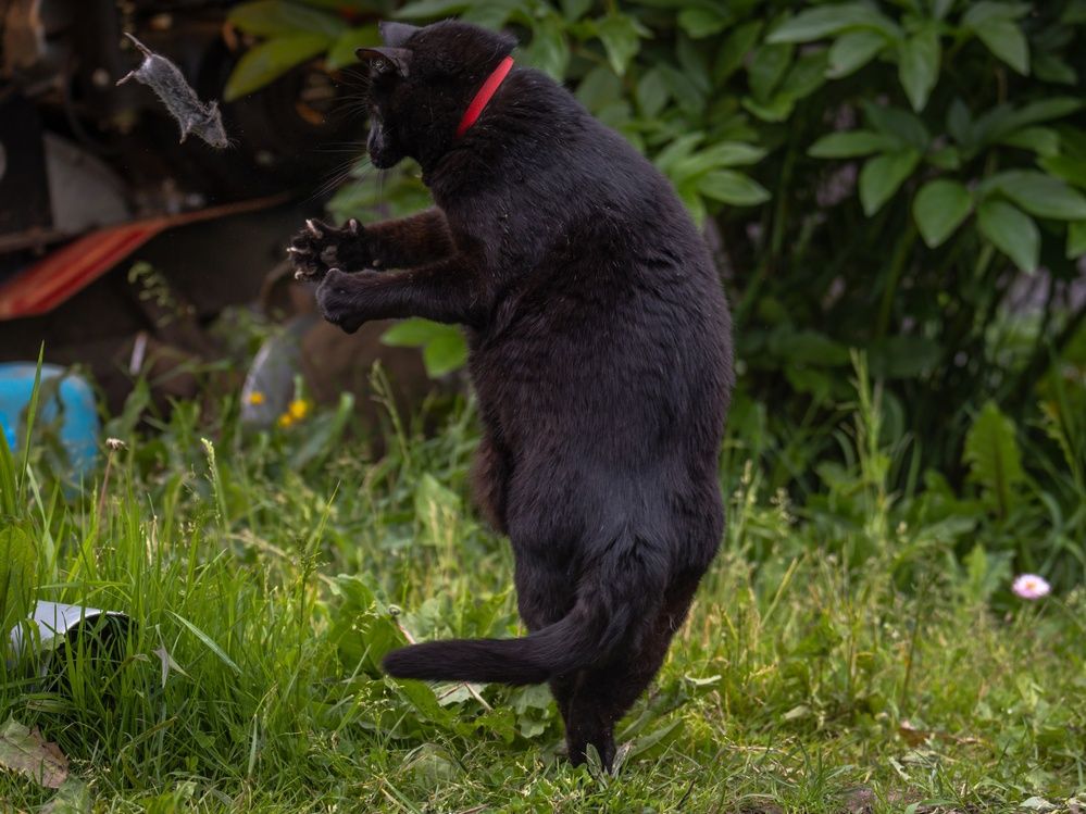 Photograph by Хабаров Сергей