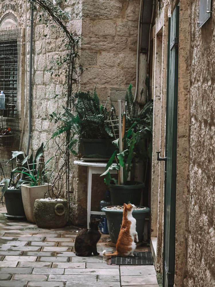 Photograph by Uliana Volegova